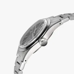 Lorier Falcon, case profile