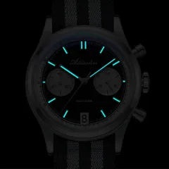 Addiesdive AD2542 lume shot, hands and markers glowing blue