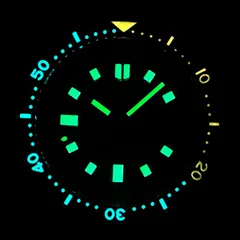 Steeldive SD1970C
