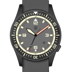 Elliot Brown Holton REORG