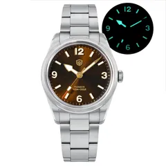 Watchdives WD1960S with applied sunray brown dial
